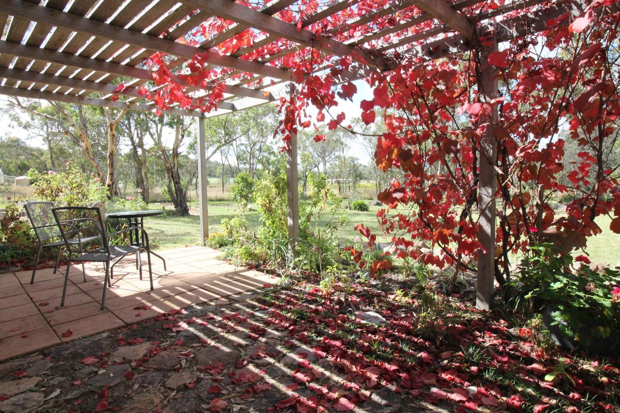 Severn River Cottages Severnlea Buitenkant foto