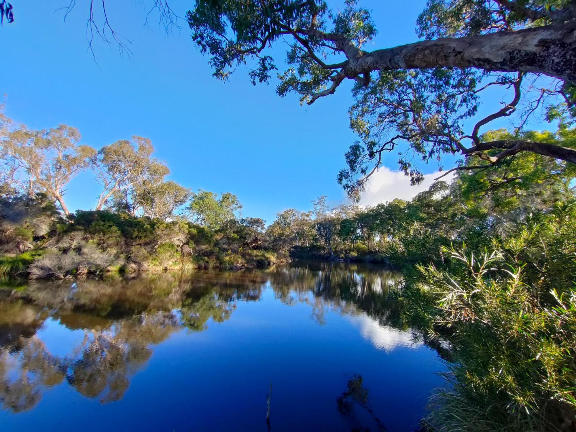 Severn River Cottages Severnlea Buitenkant foto
